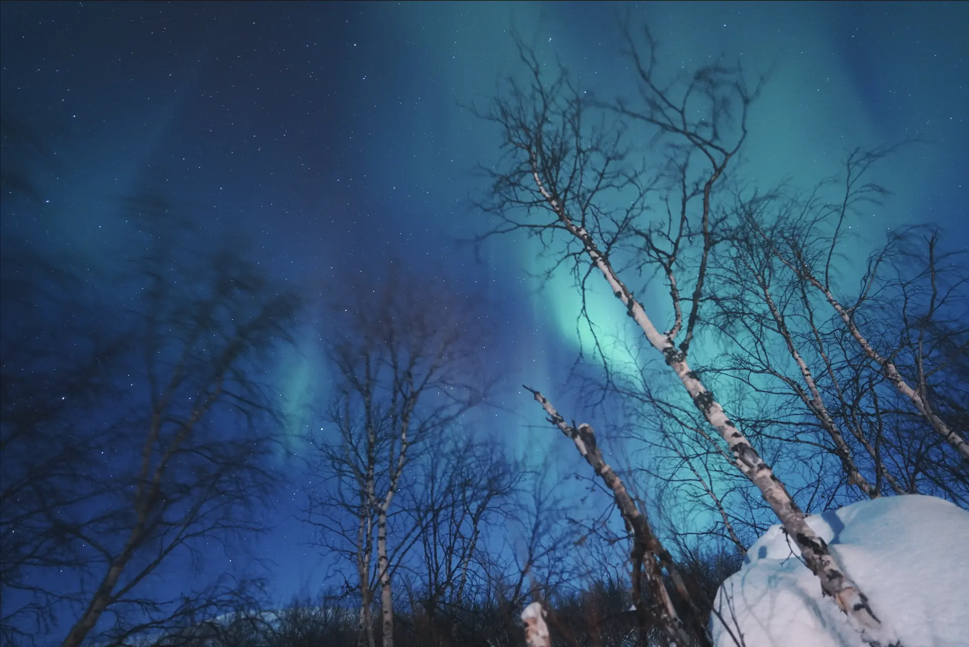Northern Lights Chase – Tromsø Friluftsenter
